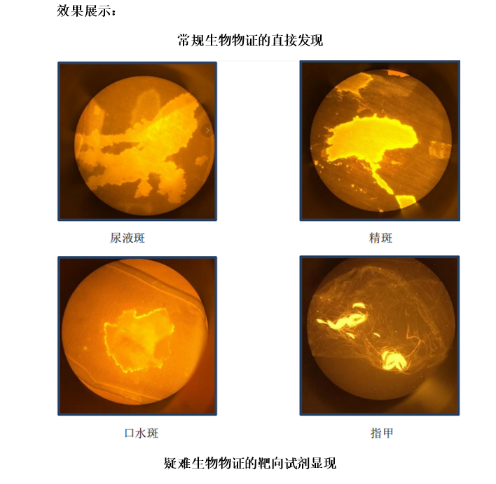 QQ截圖20240329112057.png