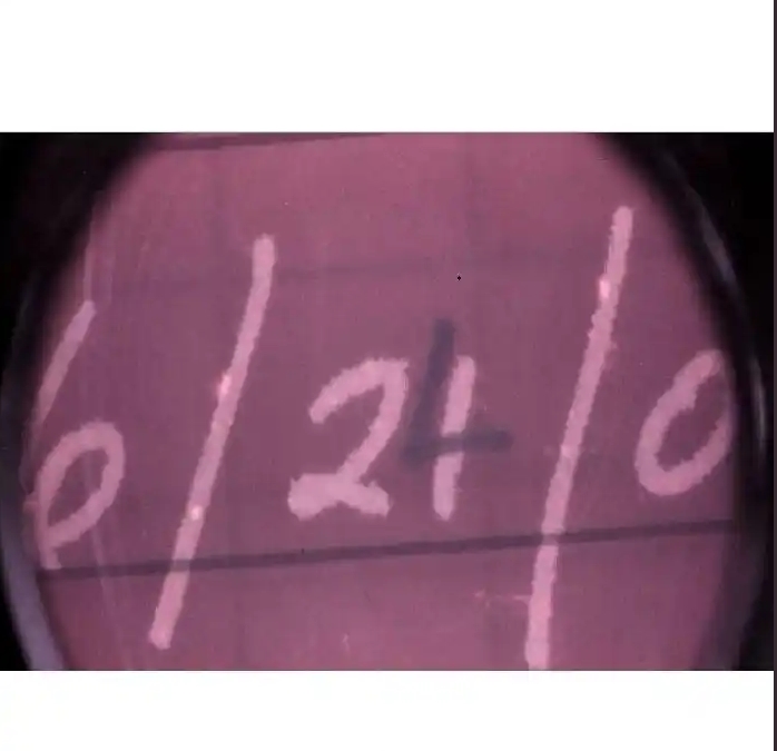 360截圖20250305091728.jpg